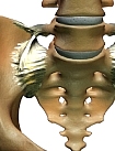 LP